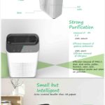 best air purifier for basement