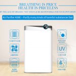 air purifier home,Dual-use Ozone Purifier,air fresh home