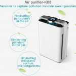 ionizer air purifier,ozone free air purifier,intelligent air purifier